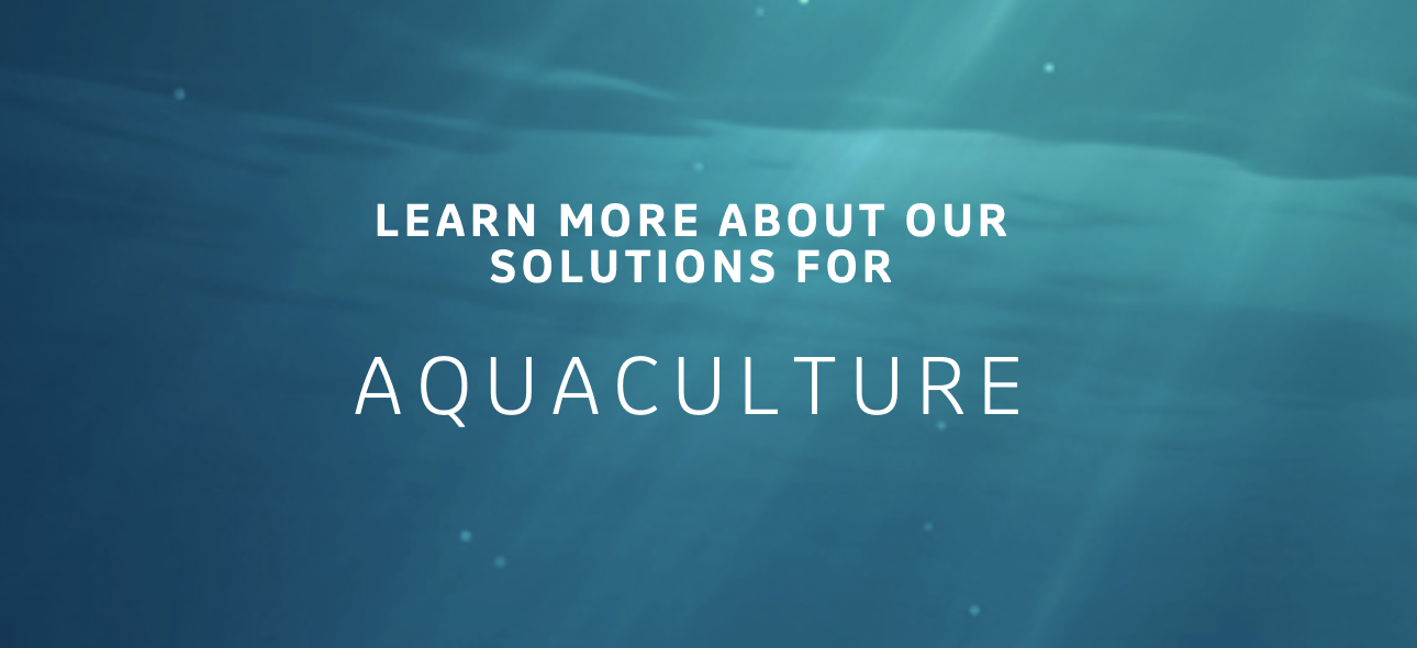Learn more about our solutions for aquaculture 